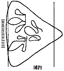 Briquet 1671