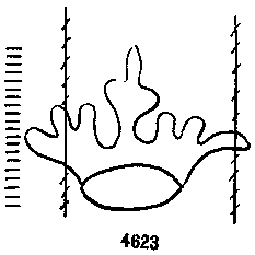 Briquet 4623