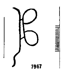 Briquet 7967