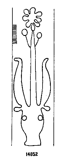 Briquet 14852