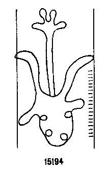Briquet 15194