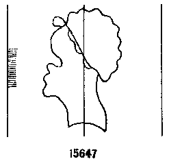 Briquet 15647